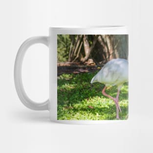 Hopping White Ibis Mug